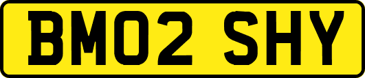 BM02SHY