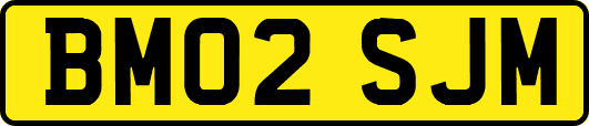 BM02SJM