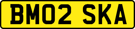 BM02SKA