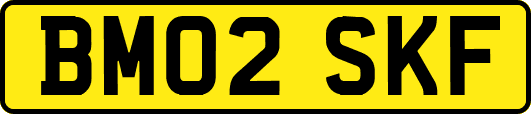 BM02SKF