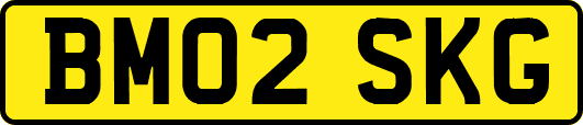 BM02SKG