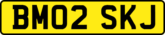 BM02SKJ