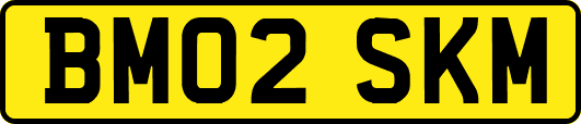BM02SKM