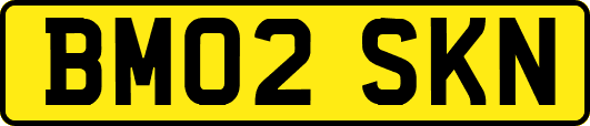 BM02SKN