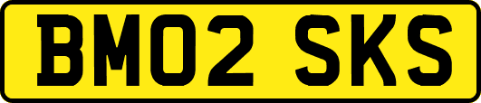 BM02SKS