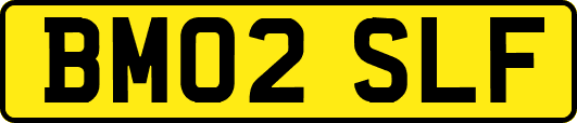 BM02SLF