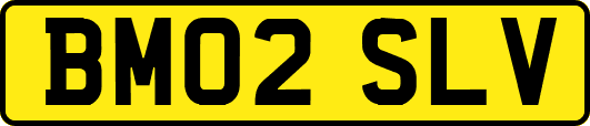 BM02SLV