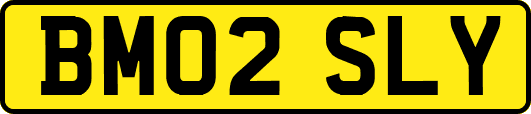 BM02SLY