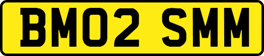 BM02SMM