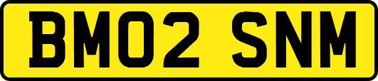 BM02SNM