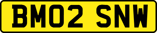 BM02SNW