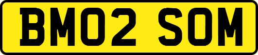 BM02SOM