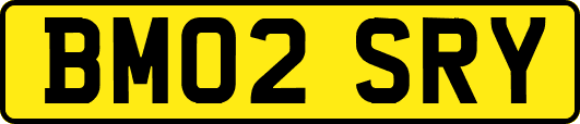 BM02SRY