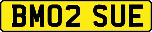 BM02SUE