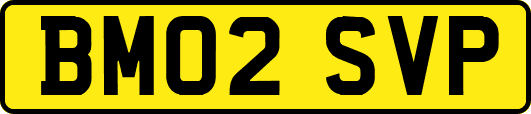 BM02SVP
