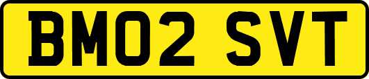 BM02SVT