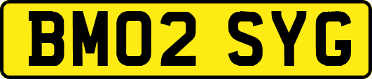 BM02SYG