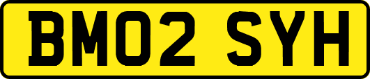 BM02SYH