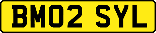 BM02SYL