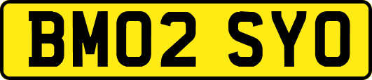 BM02SYO