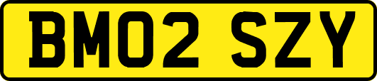 BM02SZY