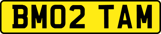 BM02TAM