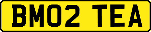 BM02TEA