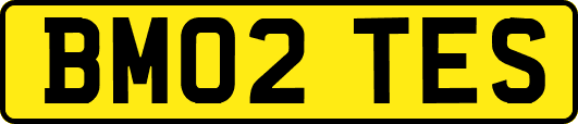 BM02TES