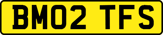 BM02TFS