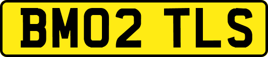 BM02TLS