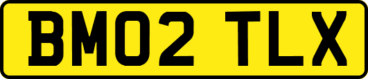 BM02TLX
