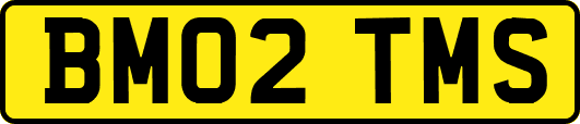 BM02TMS