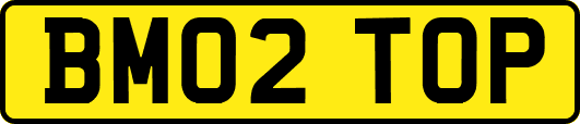 BM02TOP