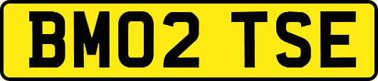 BM02TSE