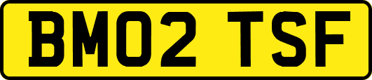 BM02TSF