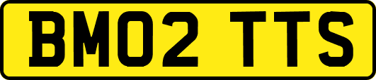 BM02TTS