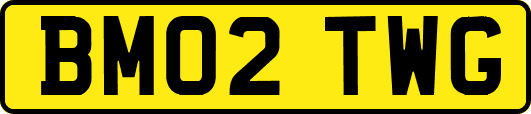BM02TWG