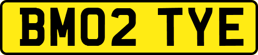 BM02TYE