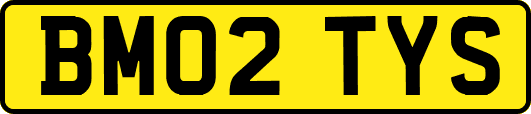 BM02TYS