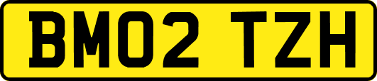 BM02TZH