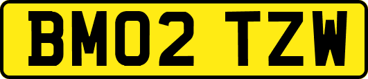 BM02TZW