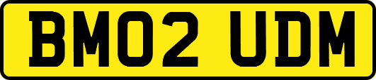 BM02UDM