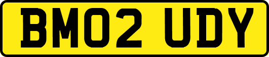 BM02UDY