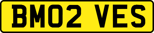 BM02VES