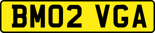 BM02VGA