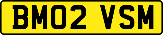 BM02VSM