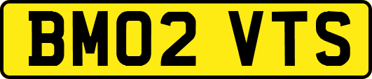 BM02VTS