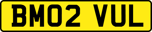 BM02VUL
