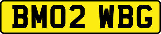 BM02WBG
