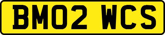 BM02WCS